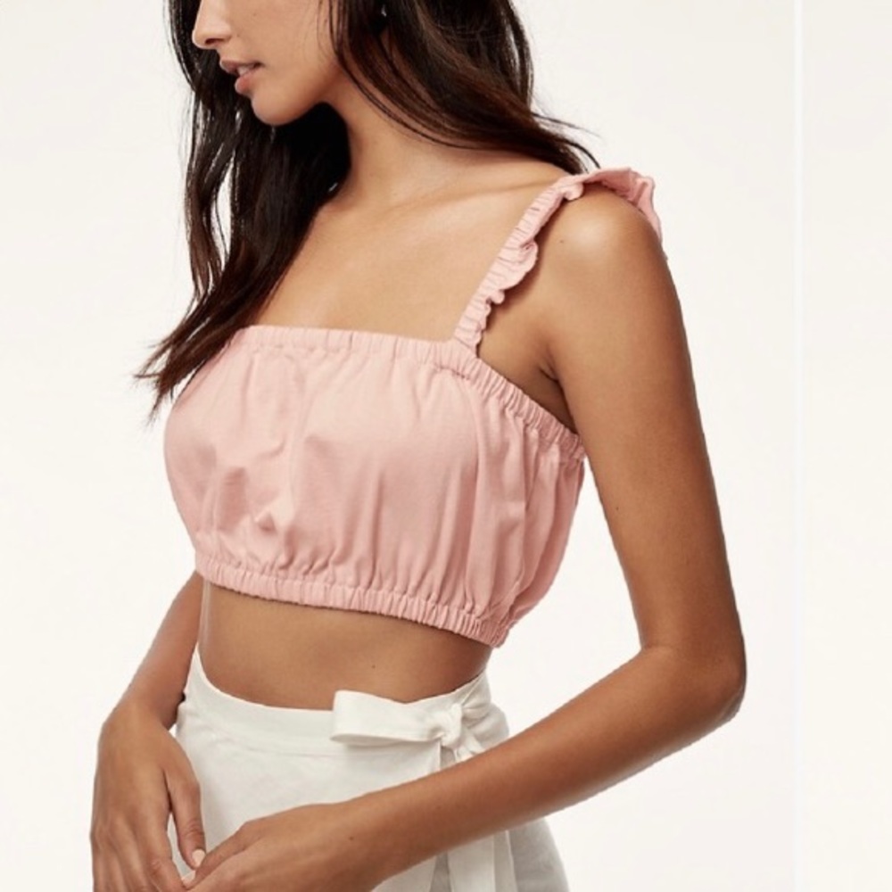 Aritzia Wilfred Crop Top